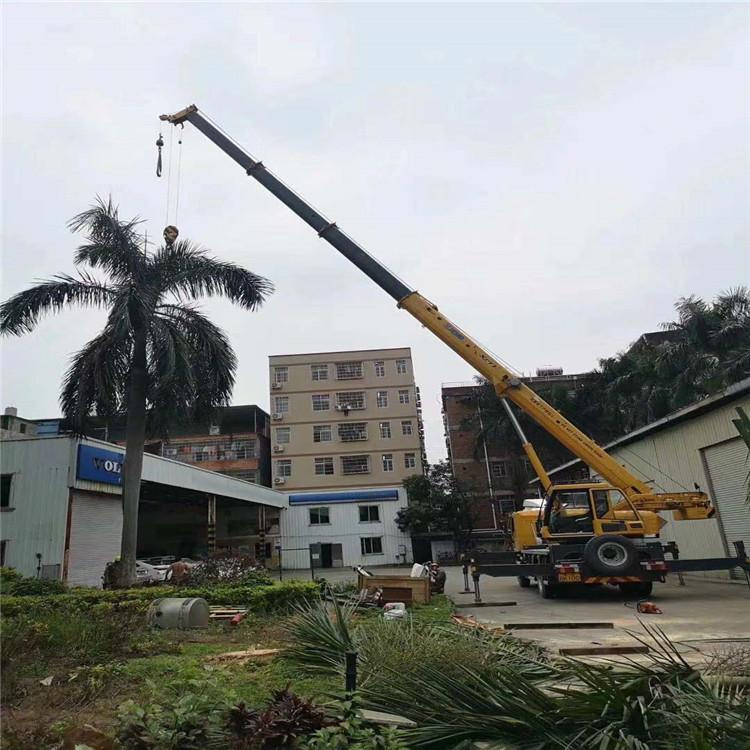 太和县汽车吊出租多少钱？全面解析与市场行情